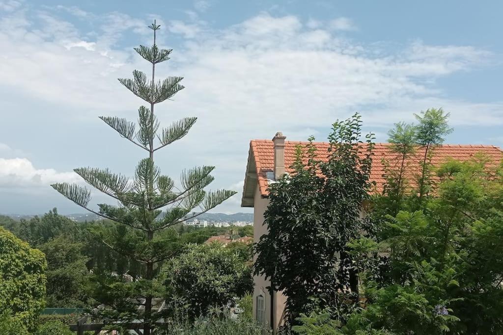 Claelle Appartment - 200M Beach Mandelieu 外观 照片